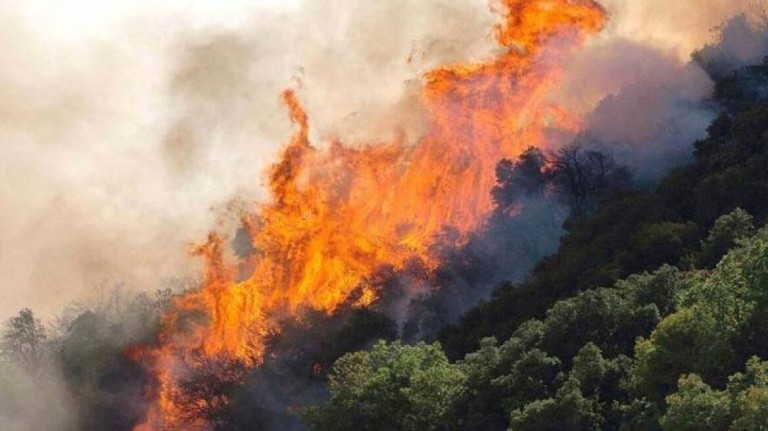 Οι δασικές πυρκαγιές πυροδοτούν την κλιματική κρίση και όχι το αντίθετο