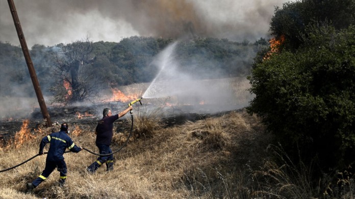 Μάχη με τις αναζωπυρώσεις στον Έβρο - Μικρές εστίες στην Πάρνηθα