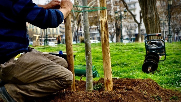 Το πρώτο βρώσιμο δάσος «γεννιέται» στη Νεάπολη με 750 δέντρα