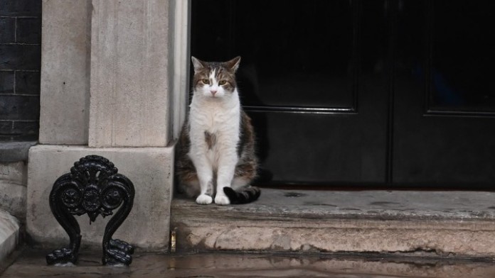 Ο γάτος της Ντάουνινγκ Στριτ, ένας πυλώνας σταθερότητας στη βρετανική πολιτική σκηνή - dimoprasiongr