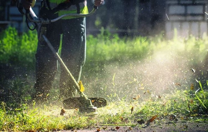 Τι ισχύει για τον καθαρισμό των οικοπέδων σε δάση και πόλεις - DIMOPRASIONGR