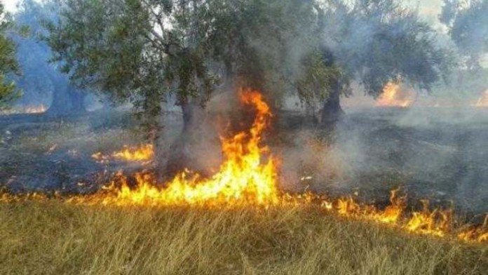 Συνδρομή της Ο.ΣΥ. στην κατάσβεση της πυρκαγιάς