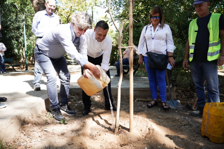 Δήμος Αθηναίων: Ξεπεράσαμε τα 3.000 νέα δέντρα